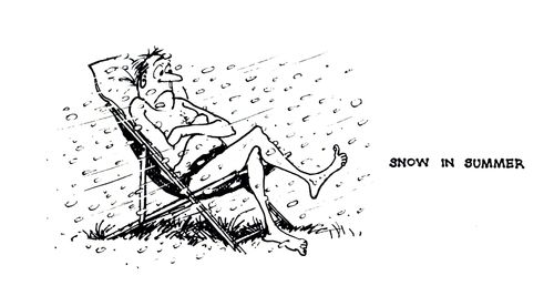 Snow in Summer