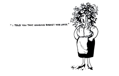"I told you that hanging basket was loose."