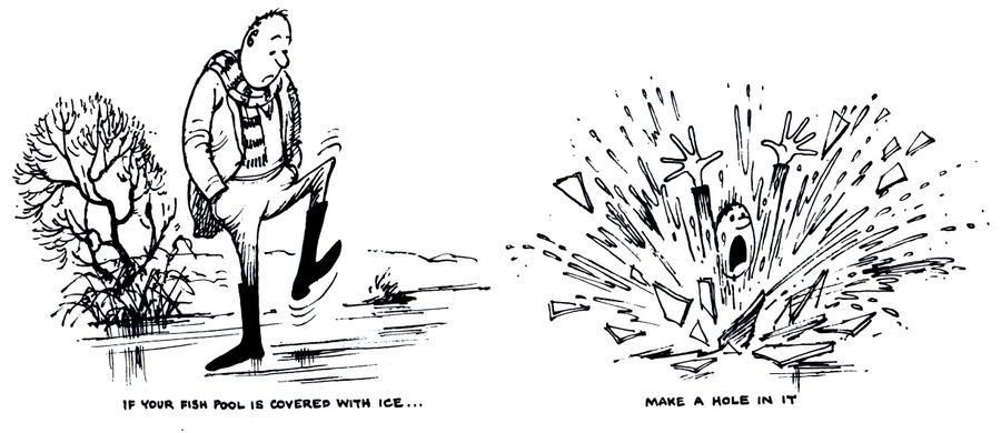 The Gardener's Calendar: If your fish pool is covered with ice...make a hole in it.