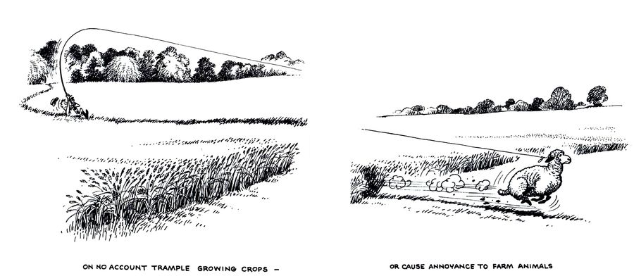 On no account trample growing crops - or cause annoyance to farm animals.