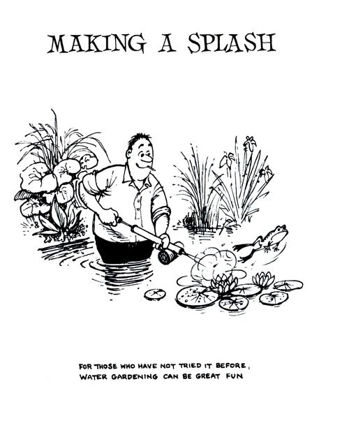 Making a Splash: For those who have not tried it before, water gardening can be great fun.