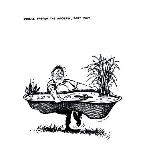 Water Gardening: Others prefer the modern, easy way.