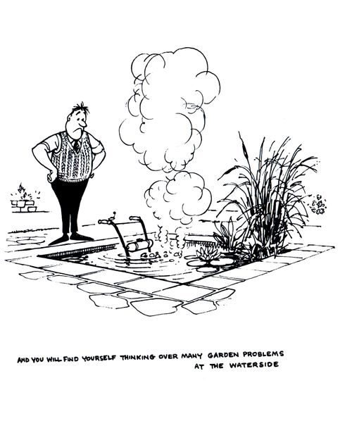Water Gardening: And you will find yourself thinking over many garden problems at the waterside.