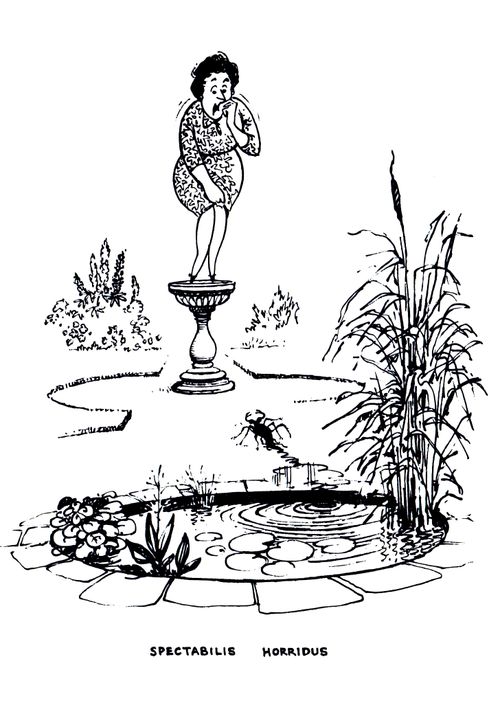 Spectabilis Horridus