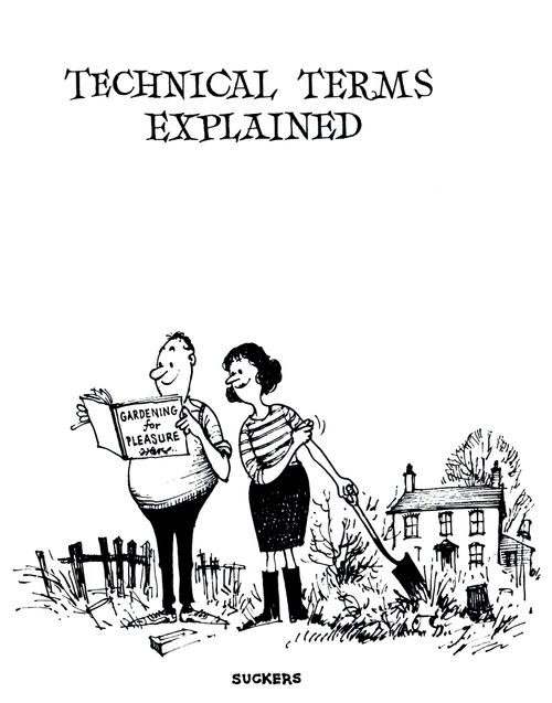 Technical Terms Explained: Suckers.