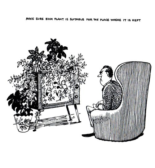 The Fireside Jungle: Make sure each plant is suitable for the place where it is kept.