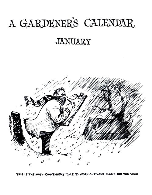 A Gardener's Calendar: January - This is the most convenient time to work out your plans for the year.