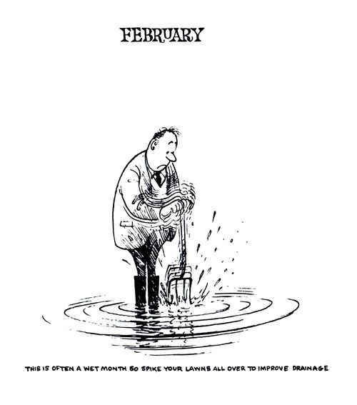 The Gardener's Calendar: February - This is often a wet month so spike your lawns all over to improve drainage.
