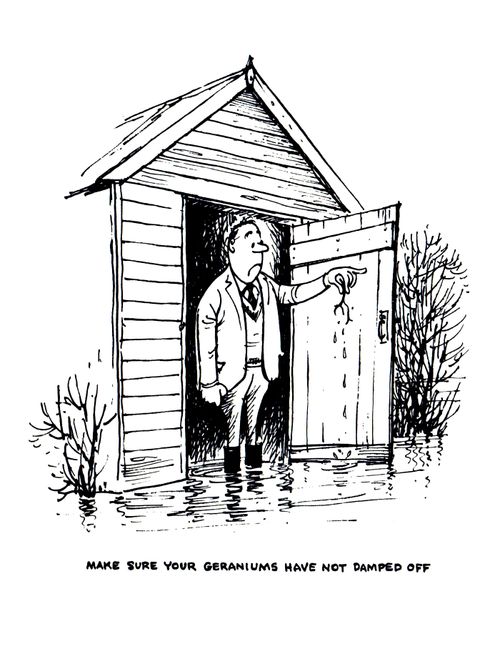 Gardener's Calendar: Make sure your geraniums have not damped off.