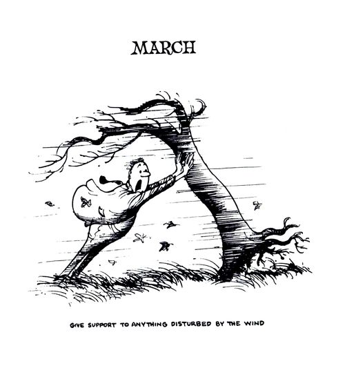 Gardener's Calendar: March - Give support to anything disturbed by the wind.