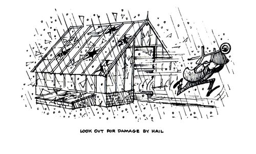 Gardener's Calendar: Look out for damage by hail.