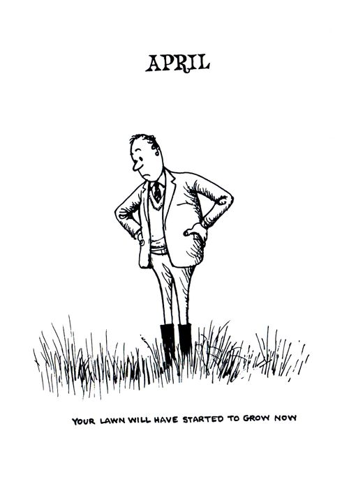 Gardener's Calendar: April - Your lawn will have started to grow now.