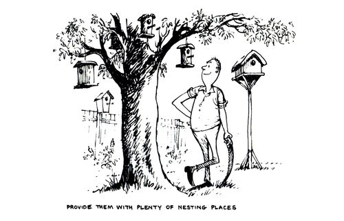 Provide them with plenty of nesting places.