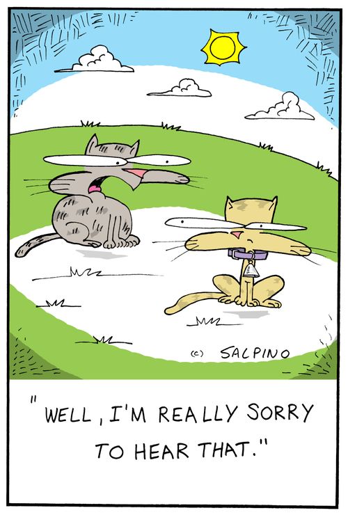 "Well, I'm really sorry to hear that."