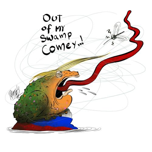 Out of my Swamp, Comey...!