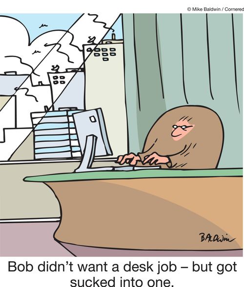 Bob didn't want a desk job - but got sucked into one.