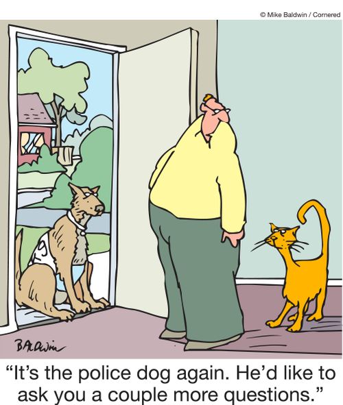 "It's the police dog again. He'd like to ask you a couple more questions."