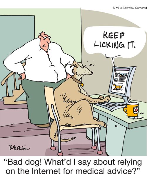 "Bad dog! What'd I say about relying on the Internet for medical advice?"