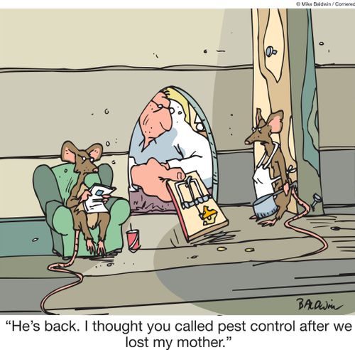 "He's back again. I thought you called pest control after we lost my mother."