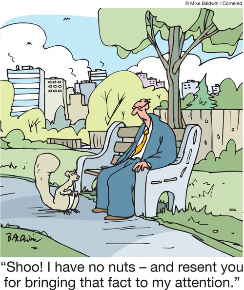 "Shoo! I have no nuts - and resent you for bringing that fact to my attention."