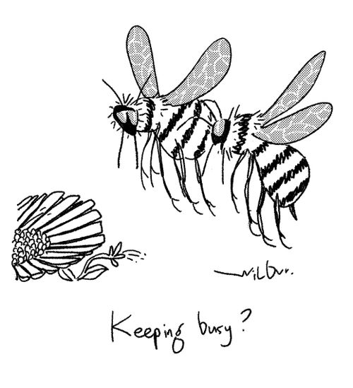 "Keeping busy?"