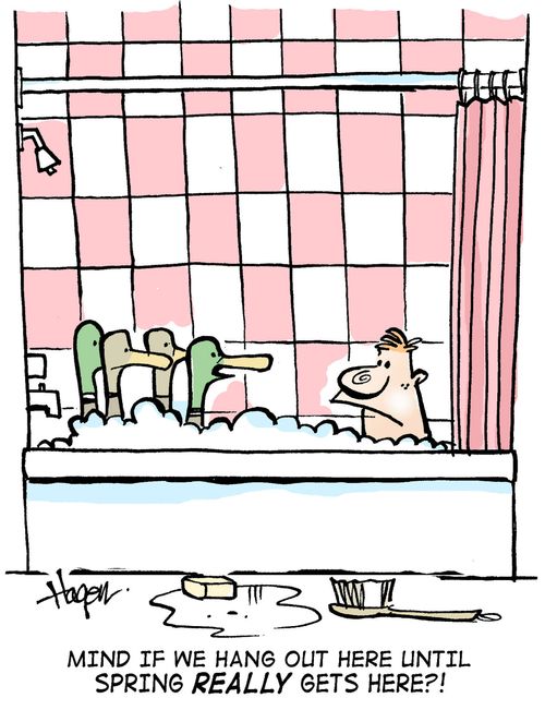 'Mind if we hang out here until spring REALLY gets here?!'