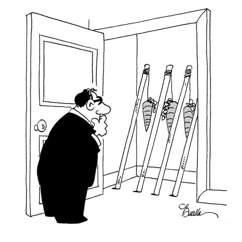 Carrots on sticks wardrobe.
