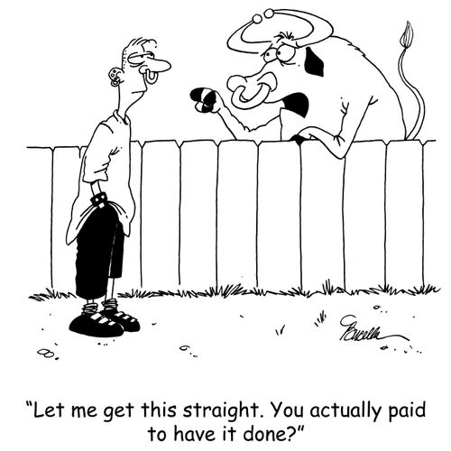 'Let me get this straight. You actually paid to have it done?'