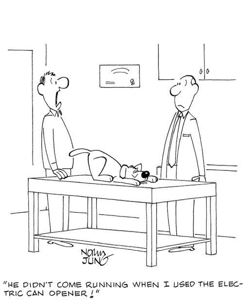 'He didn't come running when I used the electric can opener!'