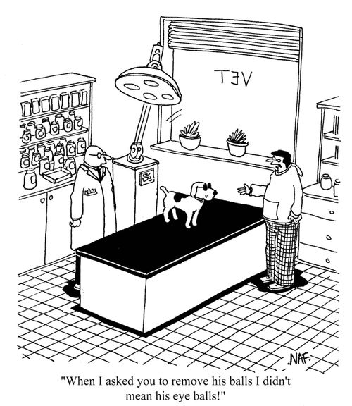 'When I asked you to remove his balls I didn't mean his eye balls!'