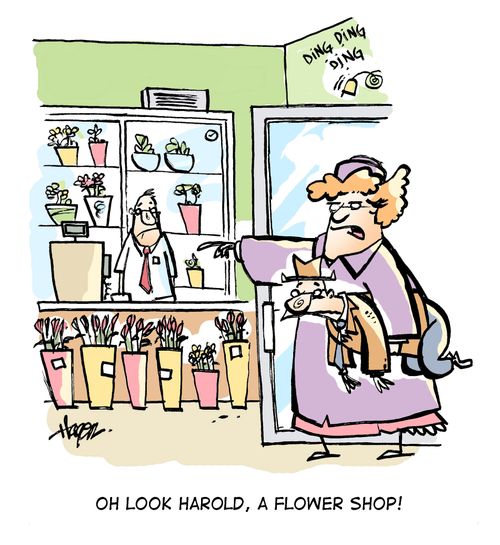 "Oh look Harold, a flower shop!"