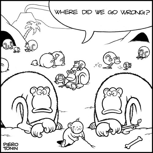 'Where did we go wrong?'