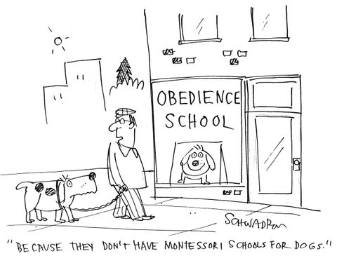 'Because they don't have Montessori Schools for dogs.'
