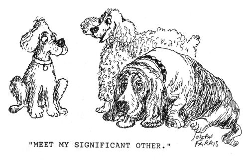 'Meet my significant other.'