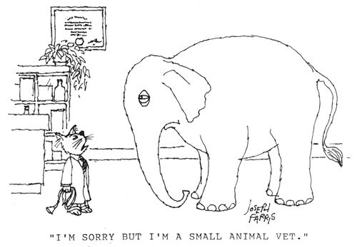 'I'm sorry but I'm a small animal vet.'