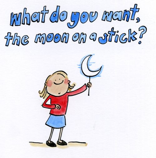 What do you want, the moon on a stick?