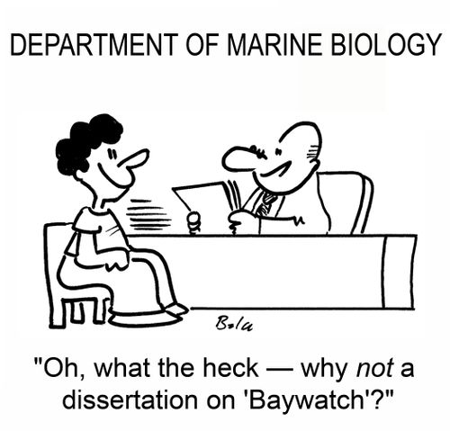 'Oh, what the heck -- why not a dissertation on 'Baywatch'?'