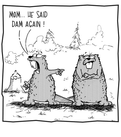 'Mom... he said dam again!'
