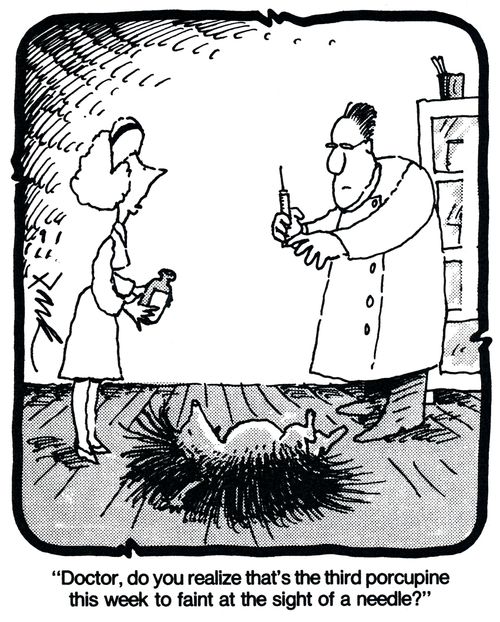 'Doctor, do you realize that's the third porcupine this week to faint at the sight of a needle?'
