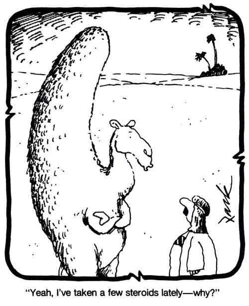'Yeah, I've taken a few steroids lately - why?'