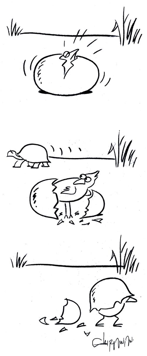 Birth of a shy/paranoid bird.