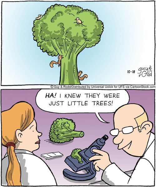 'Ha! I knew they were just little trees!'