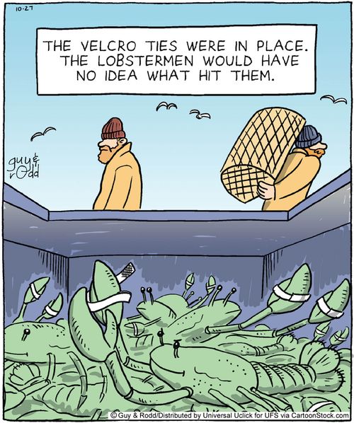 The velcro ties were in place. The lobstermen would have no idea what hit them.'