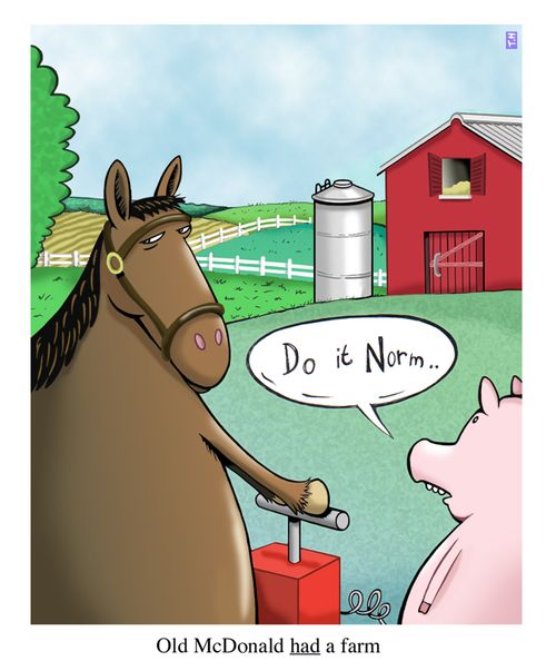 Old McDonald HAD a farm.