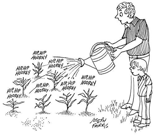 Plants Cheer as They Get Watered.