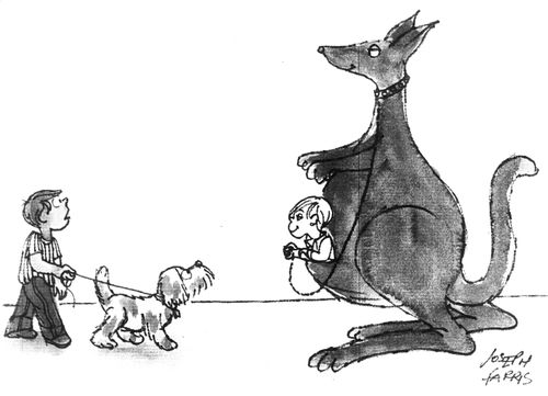 Child with a dog/Child with a kangaroo.
