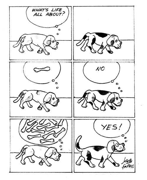 'What's life all about....Lots of bones!'