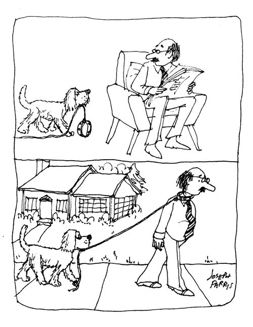 Walking the Dog.