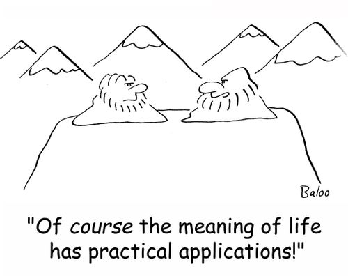 'Of course the meaning of life has practical applications!'