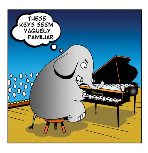 "These keys seem vaguely familiar."
